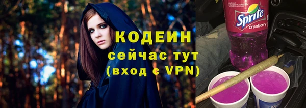 трава Карпинск
