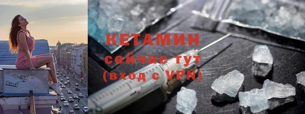 трава Карпинск