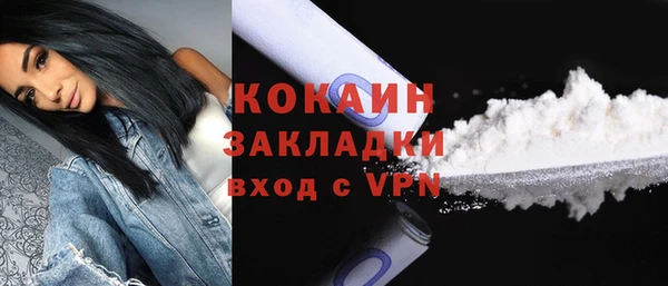 трава Карпинск