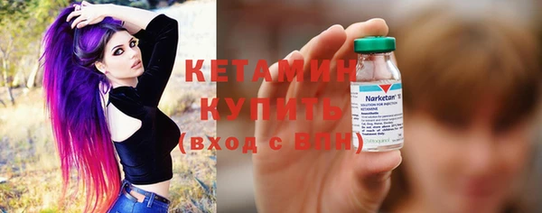 трава Карпинск