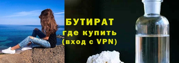 трава Карпинск