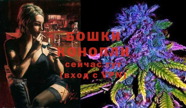 трава Карпинск