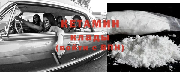 трава Карпинск