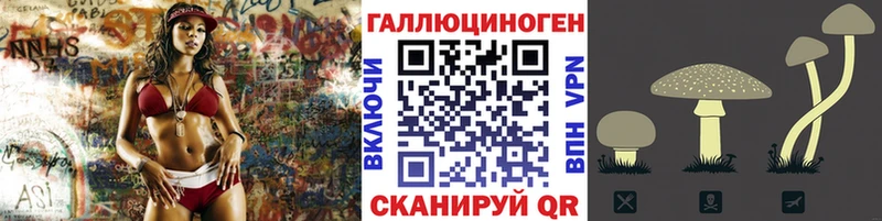 Купить где  Дятьково  Псилоцибиновые грибы Psilocybine cubensis 